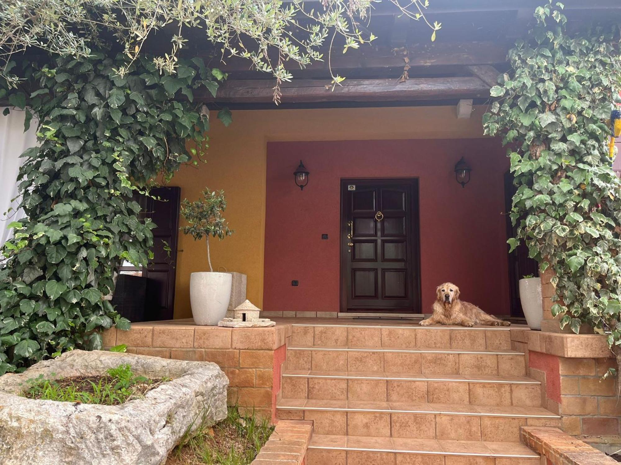 New!!! La Magrina - Bed&Breakfast Vrsar Kültér fotó